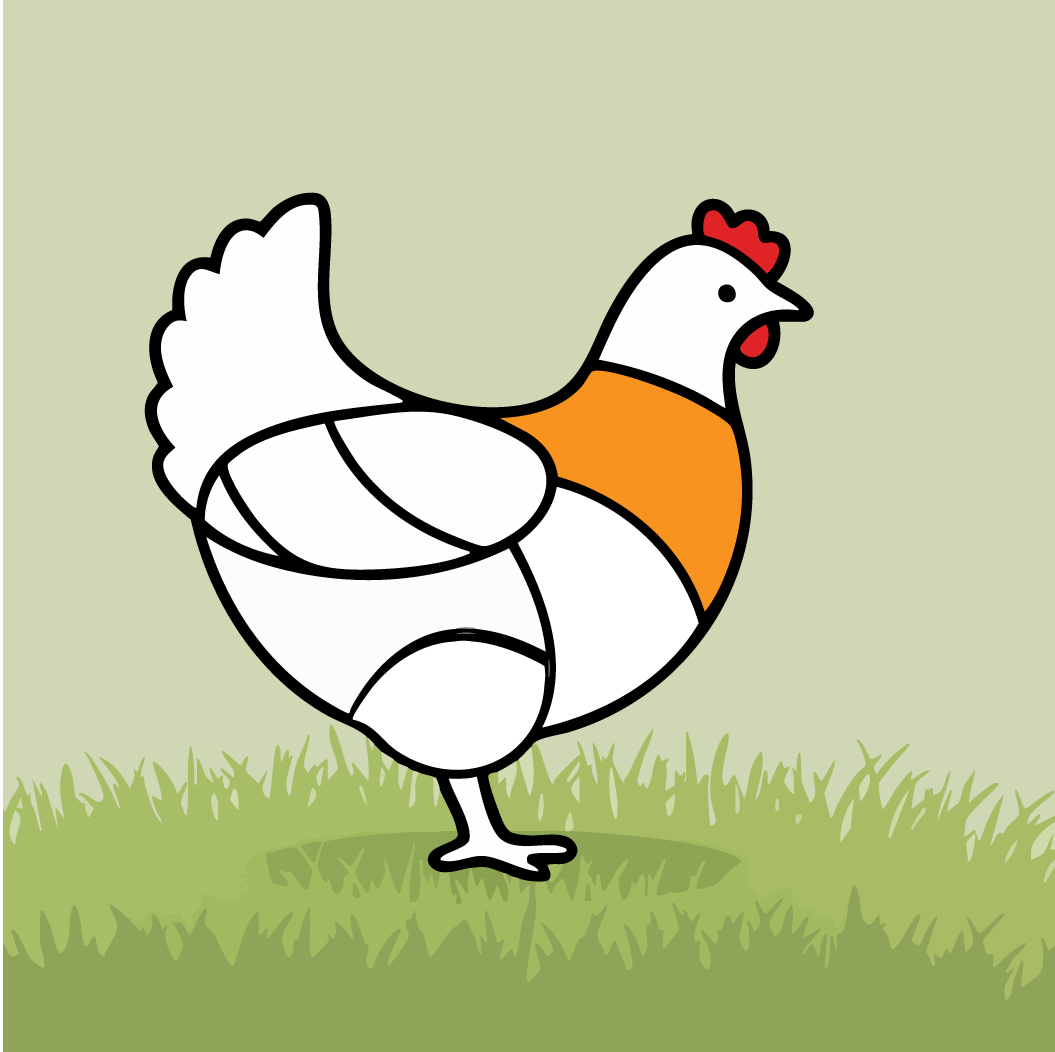 سینه مرغ بدون استخوان عمده تازه