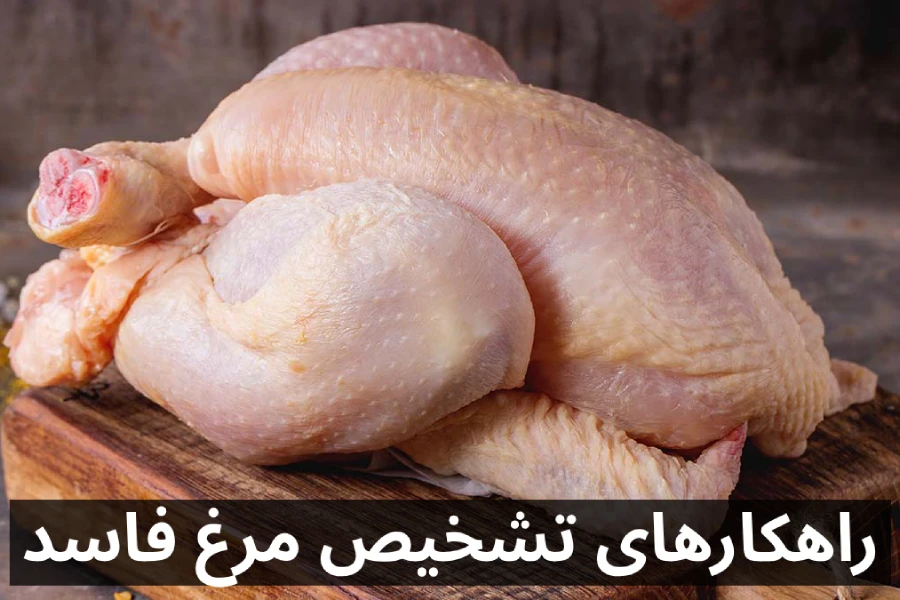 نحوه تشخیص مرغ فاسد