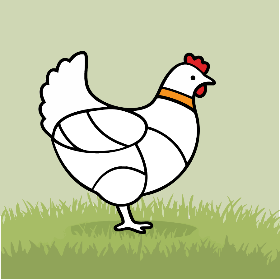 گردن مرغ